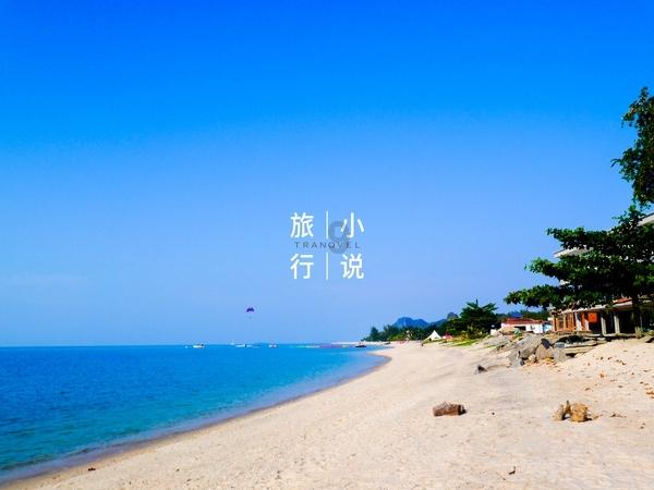 全民烧脑3去广告版